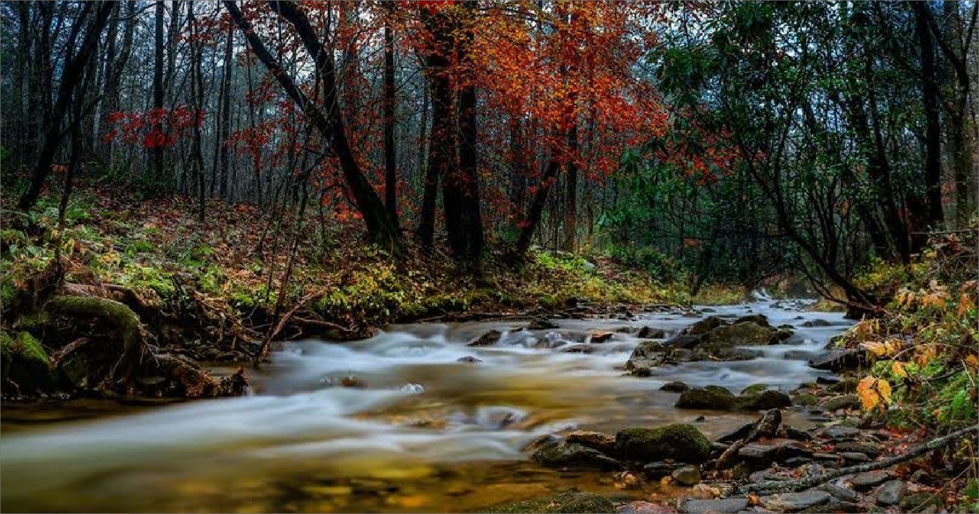 Parks & Lakes in Blairsville-Union County